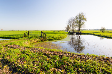 Obraz premium Dutch polder landscape in autumn