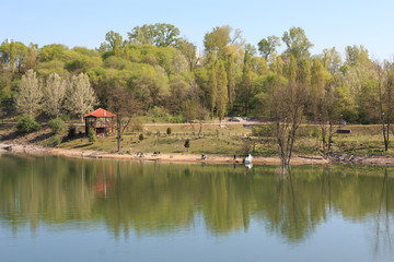 Fototapeta na wymiar laghetto nel Parco degli Aironi - Gerenzano