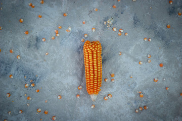 corn feed on the floor