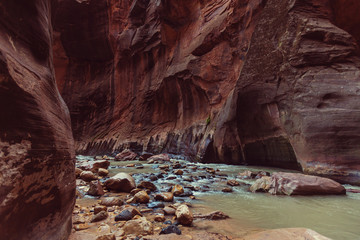 Canyon in Zion