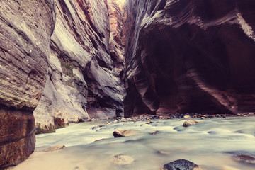 Canyon in Zion