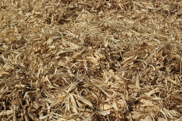 corn husks Thailand