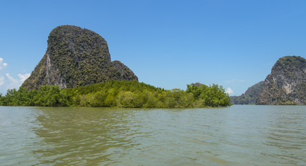 Fototapeta na wymiar Limestone island with mangrove forest in Phang Nga Bay National park, Thailand