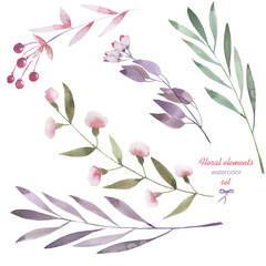 A floral set with the isolated watercolor branches, flowers and berries, hand drawn on a white background, for self-compilation of the bouquets and ornaments