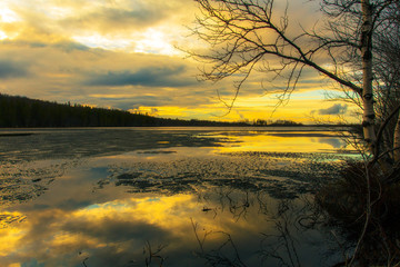 Forest lake in the spring.Ice-covered lake in spring at sunset