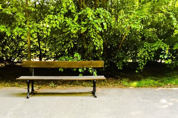 samotna ławka w parku © blesz