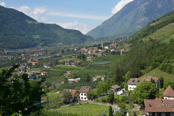 Fototapeta na wymiar Blick von Dorf Tirol in den Vinschgau | Südtirol