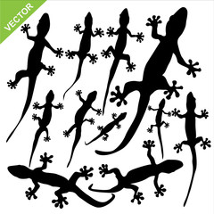 Naklejka premium Gecko silhouette vector