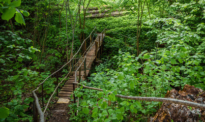 Fototapeta premium old wooden bridge in green forest