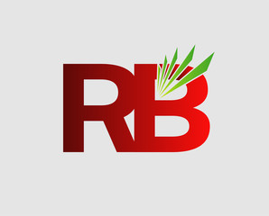 RB logo
