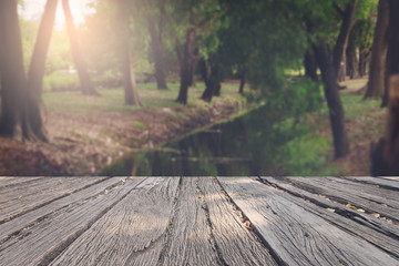 The landscap background retouch vintage style in park