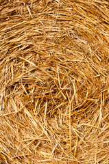 Bales of straw background