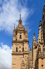 Fototapeta na wymiar Cathedral of Salamanca,Castile and Leon, Spain 