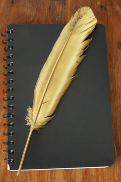 Gold quill and diary