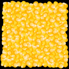 Texture with corn kernel design. Corn grain pattern. Vector Illustration