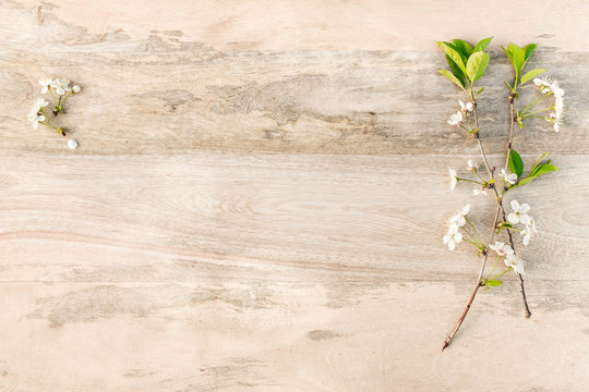 white cherry blossoms on wooden table. Empty space for text.
