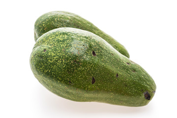 Green fresh avocado