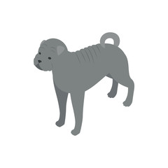 Bulldog dog icon, isometric 3d style
