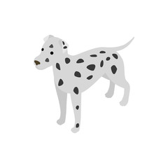 Dalmatians dog icon, isometric 3d style
