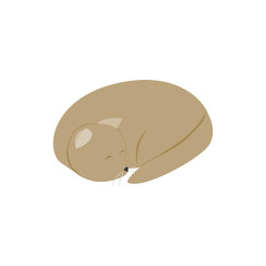 Sleeping cat icon, isometric 3d style
