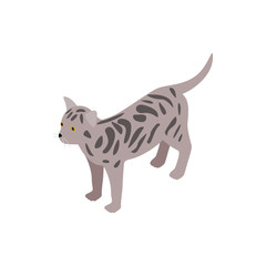 Bengal cat icon, isometric 3d style