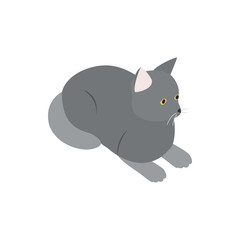Grey cat icon, isometric 3d style