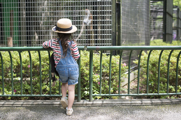 動物園を見学する女の子 - obrazy, fototapety, plakaty