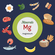 Vektor: Minerals Mg
infographic Minerals Mg infographic