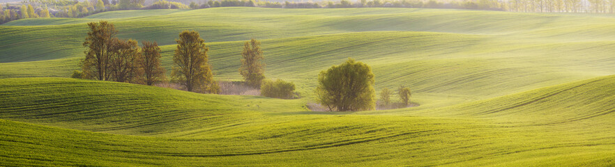 panorama zielonego,wiosennego pola © Mike Mareen