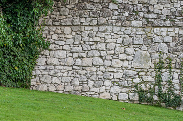 Medieval castle wall overgrown with ivy