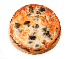 Vegetable pie with broccoli, cheese, chicken, tomatoes isolated on white background. Food close up