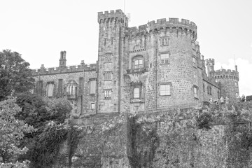 riverside view of kilkenny castle in ireland