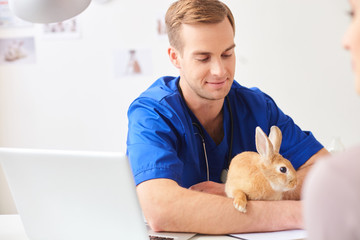 Professional young veterinarian is examining an animal