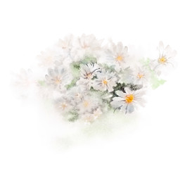 Fototapeta premium Chamomile bouquet with blurred background. Hand-painted watercolor illustration for greeting cards