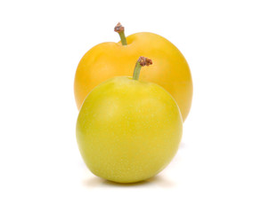 Yellow Ripe plum on white background.