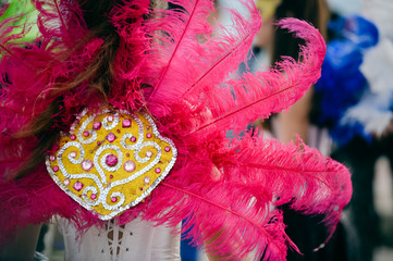 Back view of carnaval parade participants with colorful feathers. 