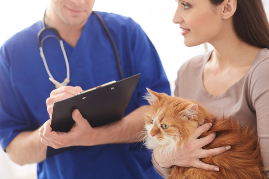 Cheerful Young Veterinarian Writing Prescription For Pet