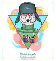 Portrait of fashion husky dog, hipster animals