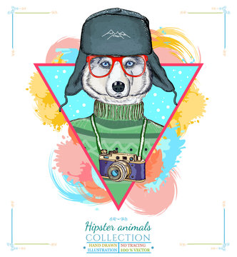 Portrait of fashion husky dog, hipster animals