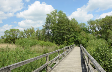 Fototapeta na wymiar Brücke am Dreifelder Weiher, Westerwald