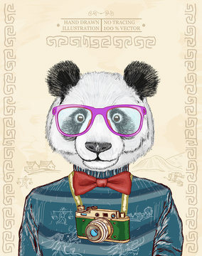 Panda vector hipster animals hand drawn fashion illustration