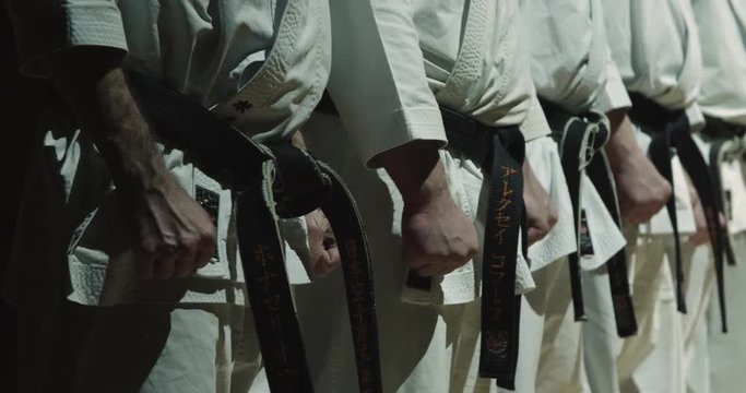 mass training of karate athletes
