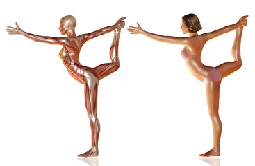 Fototapeta na wymiar 3d render of woman body with muscle anatomy doing yoga