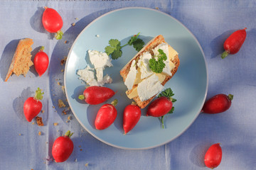 Fresh healthy breakfast, a slice of soda bread with butter and cottage cheese and red radish