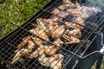 Вкусные куриные крылышки приготовленные на костре и свежие спелые помидоры. Очень вкусно. Tasty chicken wings the prepared on a fire and fresh ripe tomatoes. Very tasty.
