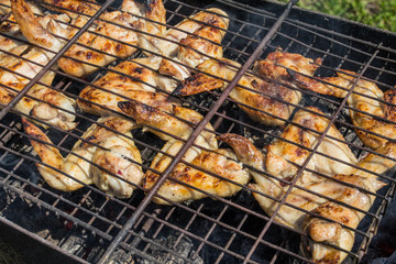 Вкусные куриные крылышки приготовленные на костре и свежие спелые помидоры. Очень вкусно. Tasty chicken wings the prepared on a fire and fresh ripe tomatoes. Very tasty.