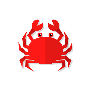 Crab vector flat illustration isolated on white background. Fresh seafood flat icon.