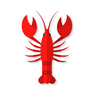 Lobster vector flat illustration isolated on white background. Fresh seafood flat icon.