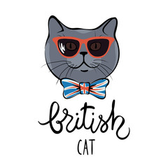 British cat/Vector illustration of a funny cat in sunglasses and bow tie