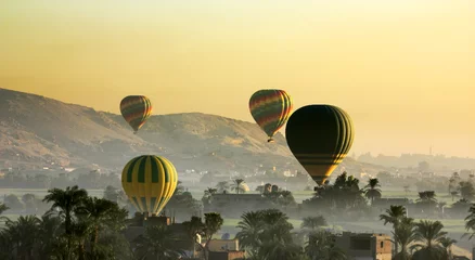 Foto op Plexiglas Egypt. Hot-air balloons over the West Bank at Luxor early morning © WitR